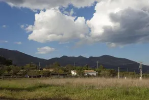 Mariola - Image 4