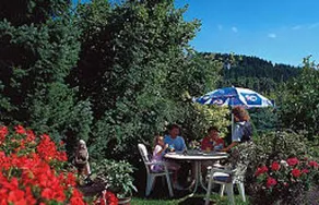 Pension Zur Schönen Aussicht - Image 2