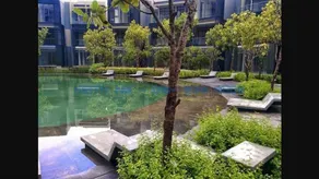 Mirage by the Lake - Image 3
