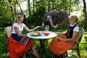 Nautse Mihkli Farm - Image 5