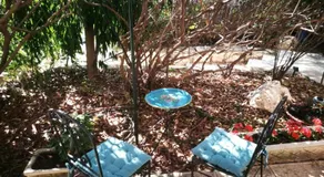 Yael's House of Freedom - Image 4
