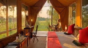 Elephant Pepper Camp - Image 4