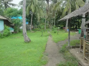 Omah Bamboo - Image 3