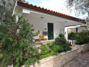 Camping Village Degli Ulivi S.n.c. - Image 3