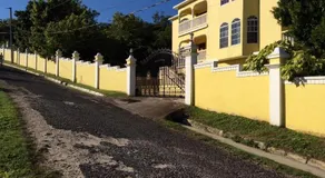 Pura Vida Jamaica - Image 5