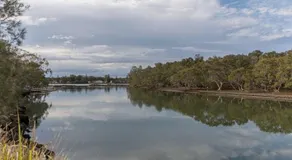 Kookas Nest - waterfront home, tranquil setting - Image 4