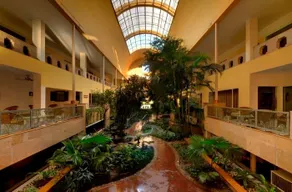Club Patio - Image 2