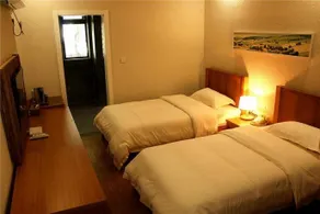 Tingoo Resting - Image 5