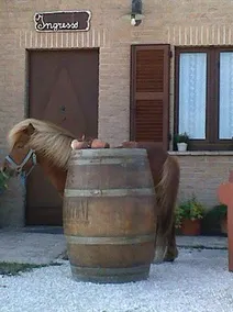 La Cilicchia - Image 5