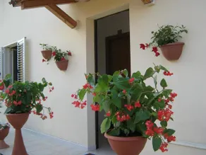 Bed and breakfast Cirelli - Image 5