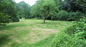 Nordlicht - Image 3