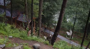 Kudrat - A Boutique Homestay- Tirthan Valley - Image 3