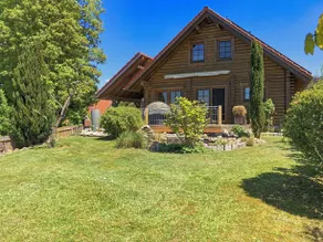 Detached holiday home with sauna, terrace and private garden - Image 1