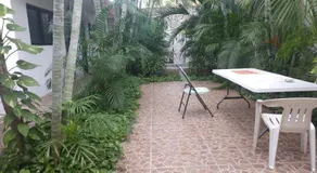 Punto Checo - Image 5