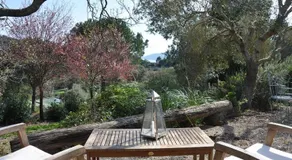 Villa Rosa dei Venti Exclusive Ferienwohnung Elba Island Garden & Panorama Porto Azzurro Holiday Hou - Image 4