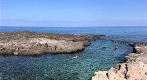 Tortuga's Mood - Image 5