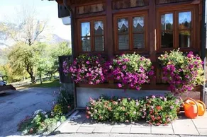 Ferienwohnung Grundlsee , Seeblick , privater Badestrand, Appartement - Image 4
