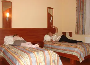 Wolf Hotel - Image 2