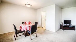 Reagan Airport Apartment - Image 4