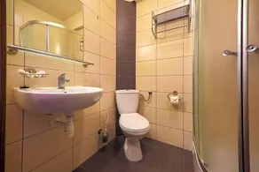 OLW Smrek - Image 5