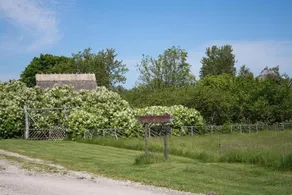 Toomalõuka Tourist Farm - Image 5