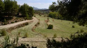 Finca Soñada - Image 5