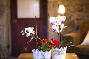 Casa da Ferreirinha - Image 3