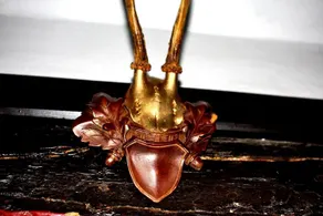 B&B Greiner - Image 3