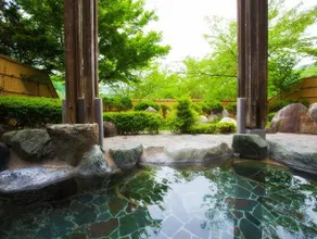 Takato Onsen Takato Sakura Hotel - Image 4