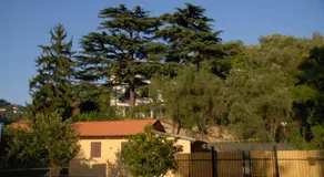 Villino Marice - Image 3