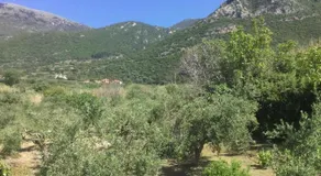 THE CABIN, KYPARISSIA - Image 2