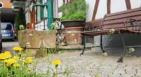 Apartment Kirschblüte - Image 4