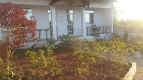 Royal Palm Kendwa - Image 2