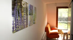Apartamentos Ordesa Natura - Image 2