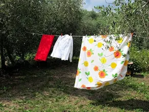 Sul Cammino - Image 4