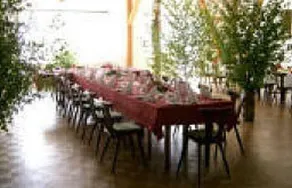 Zur Linde Gasthaus - Image 3