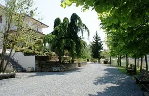 Azienda Agrituristica Costa dei Tigli - Image 2