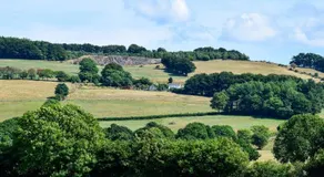 Coedmor Cottages - Image 4