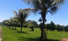 Hotel Fazenda Lagoa dos Cisnes - Image 5