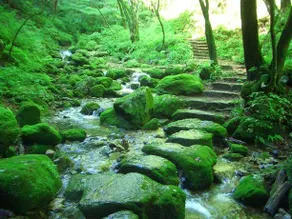 Reiunsou - Image 5