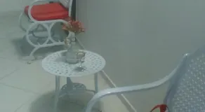 Apartamento Parque das Palmeiras - Image 5