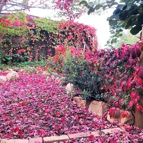 Holly House BnB - Image 5