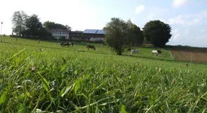 Ferienwohnung Wohnsiedler - Image 5