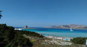 Il Geranio - Image 5
