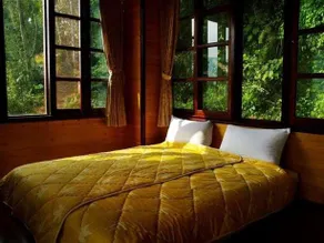 Red Wood Cottage/ B&B Moor - Image 2
