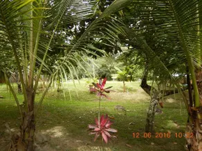 Casa De Campo Nuestro Sueno - Image 4