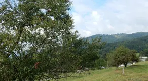 Holiday Home Vagney near Ski Gérardmer - Image 3