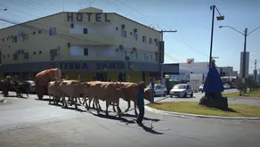 Hotel Terra Santa - Image 2