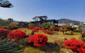 Seogwipo Ollebot Guesthouse - Image 1