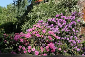 B&B Villa Egmont - Image 5